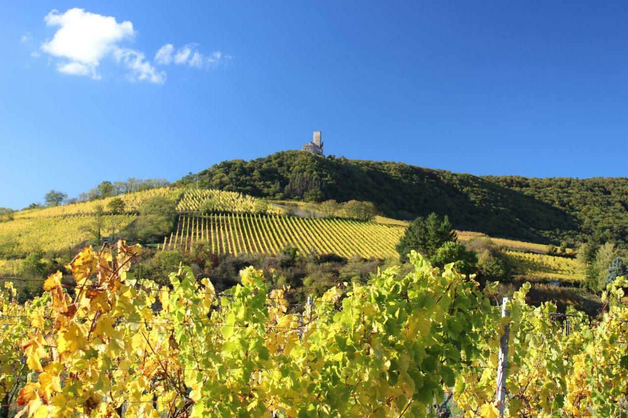 Hébergement de vacances Au Centre De L'alsace